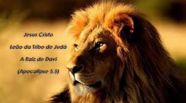 História Sagrada 38 - Davi rei da tribo de Judá