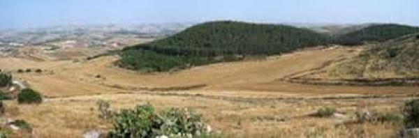 A Bíblia Viva - Nos Passos de Davi - O Vale-de-Elah, local da batalha entre Davi e Golias - 19