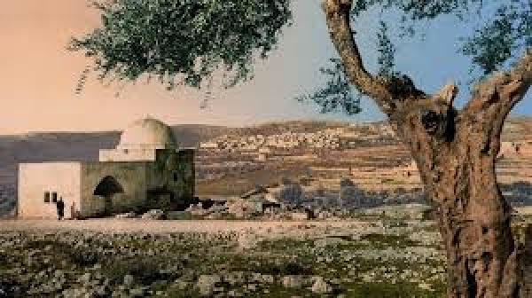 A Bíblia Viva - Samaria, os túmulos de Josué e Calebe - 11