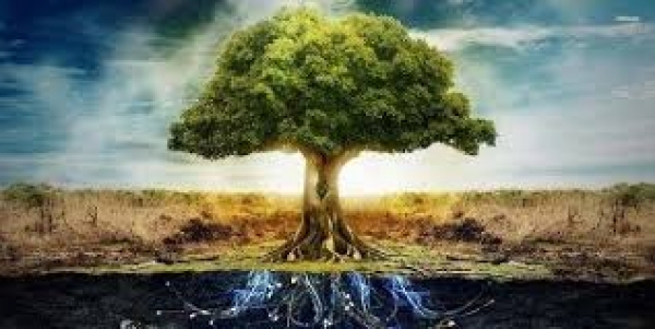 Qual o significado da árvore do bem e do mal citada em Gênesis?