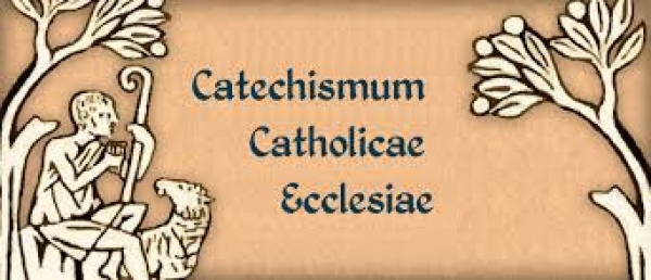 Catecismo: O papel do Catecismo na Igreja Católica - 5