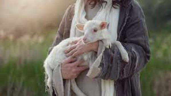 26 - Tesouros da Fé: Qual o significado dos cordeiros na Paixão de Nosso Senhor? Pe. Alex Brito