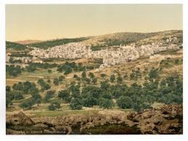 A Bíblia Viva - Tel Rumeida, a Cidade Bíblica de Hebron - 12