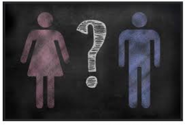 #PergunteResponderemos: 40 - O que a Igreja nos orienta quanto a ideologia de gênero? Felipe Aquino