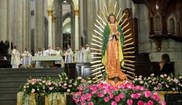 Festa Nossa Senhora de Guadalupe